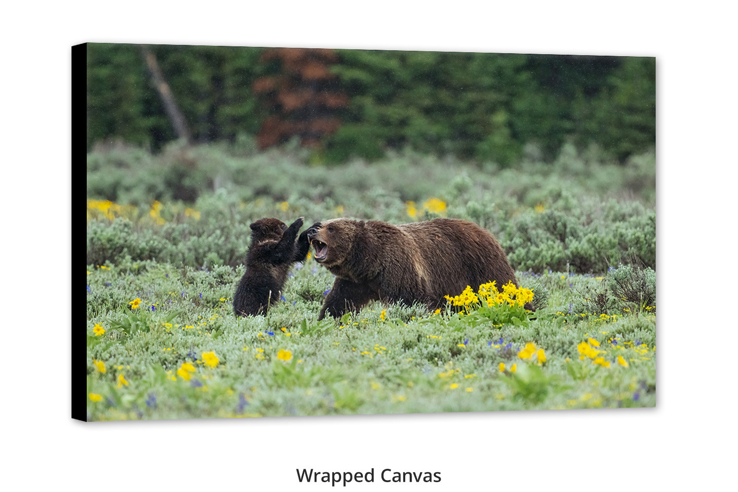 Grizzly Bear wall art Mom Playing with Cub Mangelsen