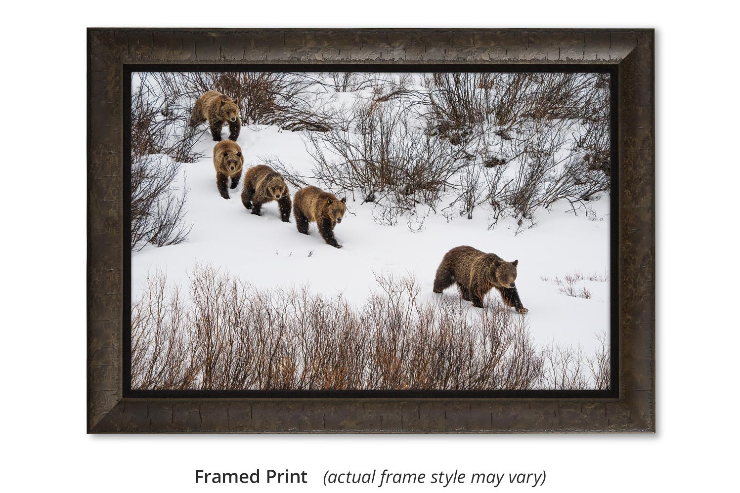 Grizzly 399 living room wall art, Thomas D. Mangelsen