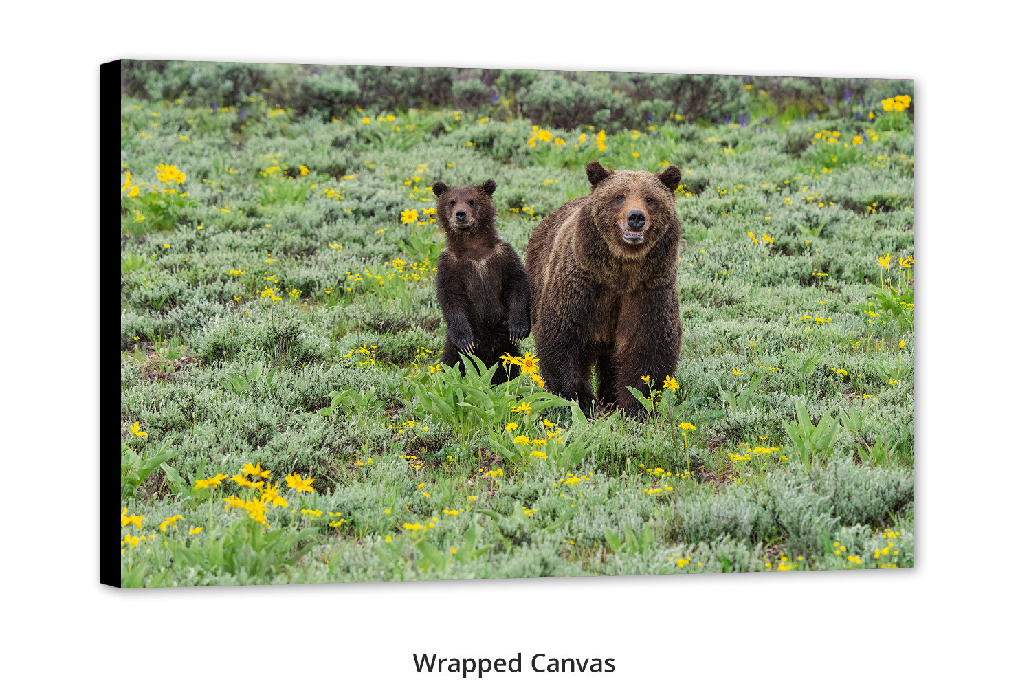 Wall art of famous mother grizzly bear and cub standing upright