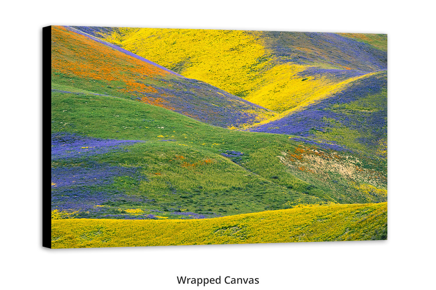 Magic Valley by Thomas D. Mangelsen