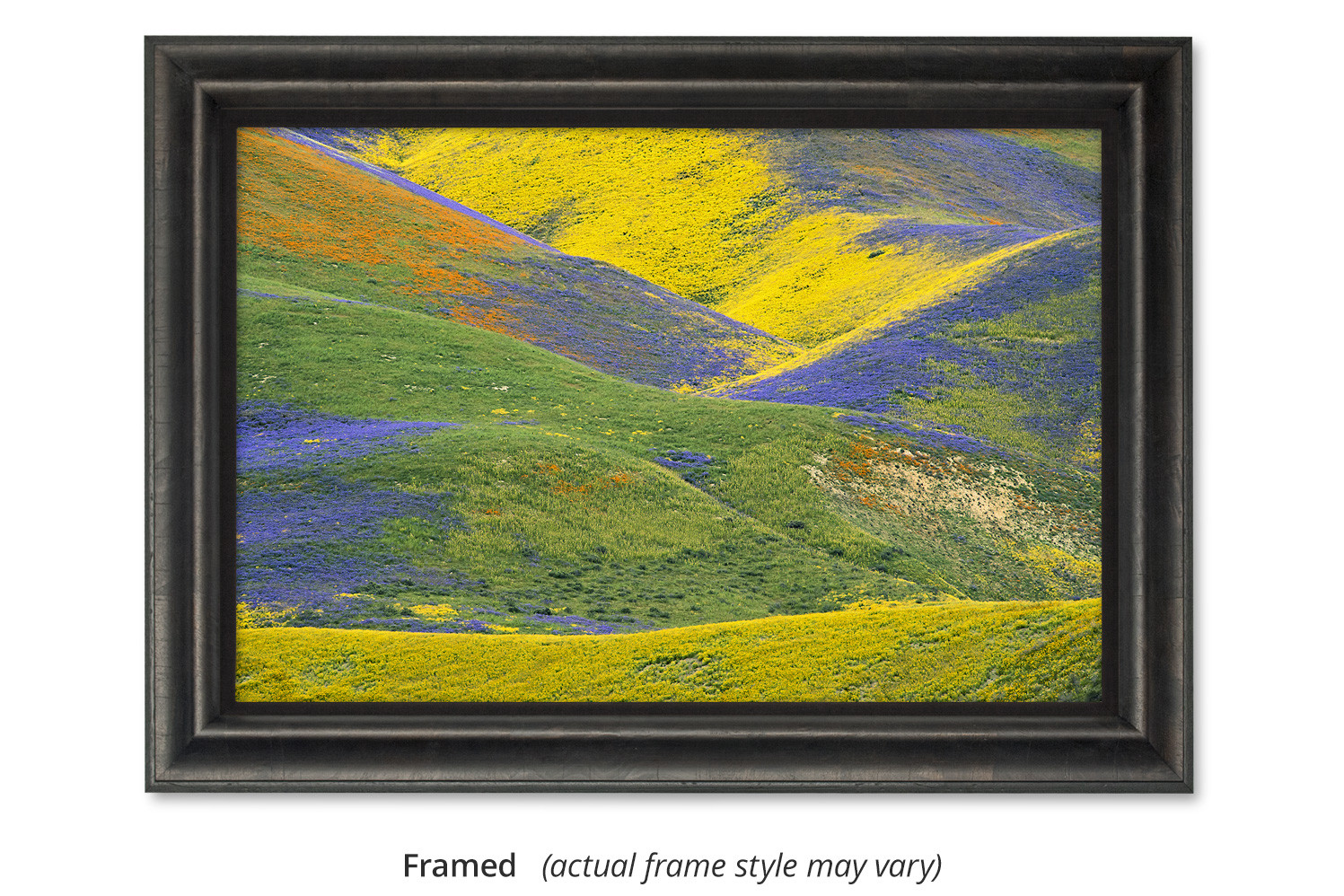 Magic Valley by Thomas D. Mangelsen