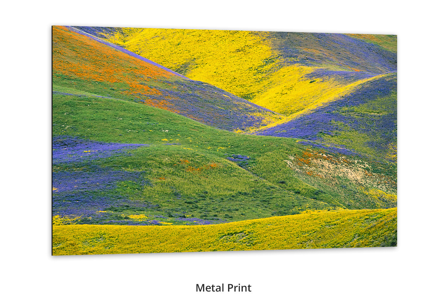 Magic Valley by Thomas D. Mangelsen