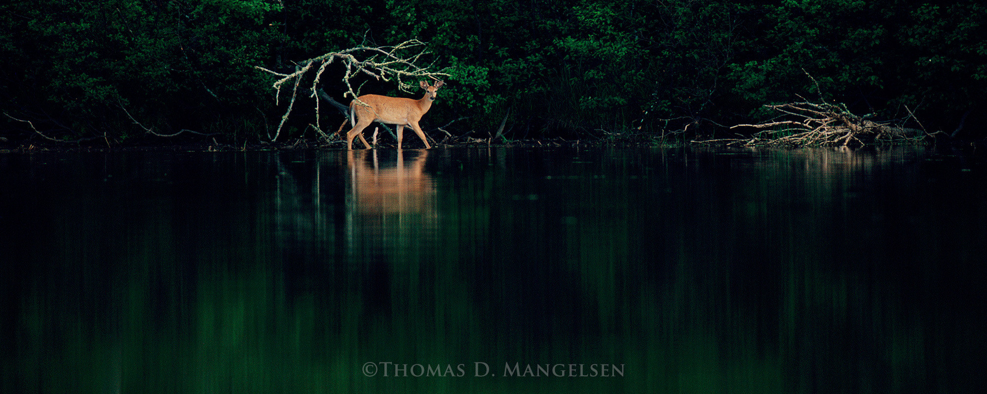 Fine art photography for sale