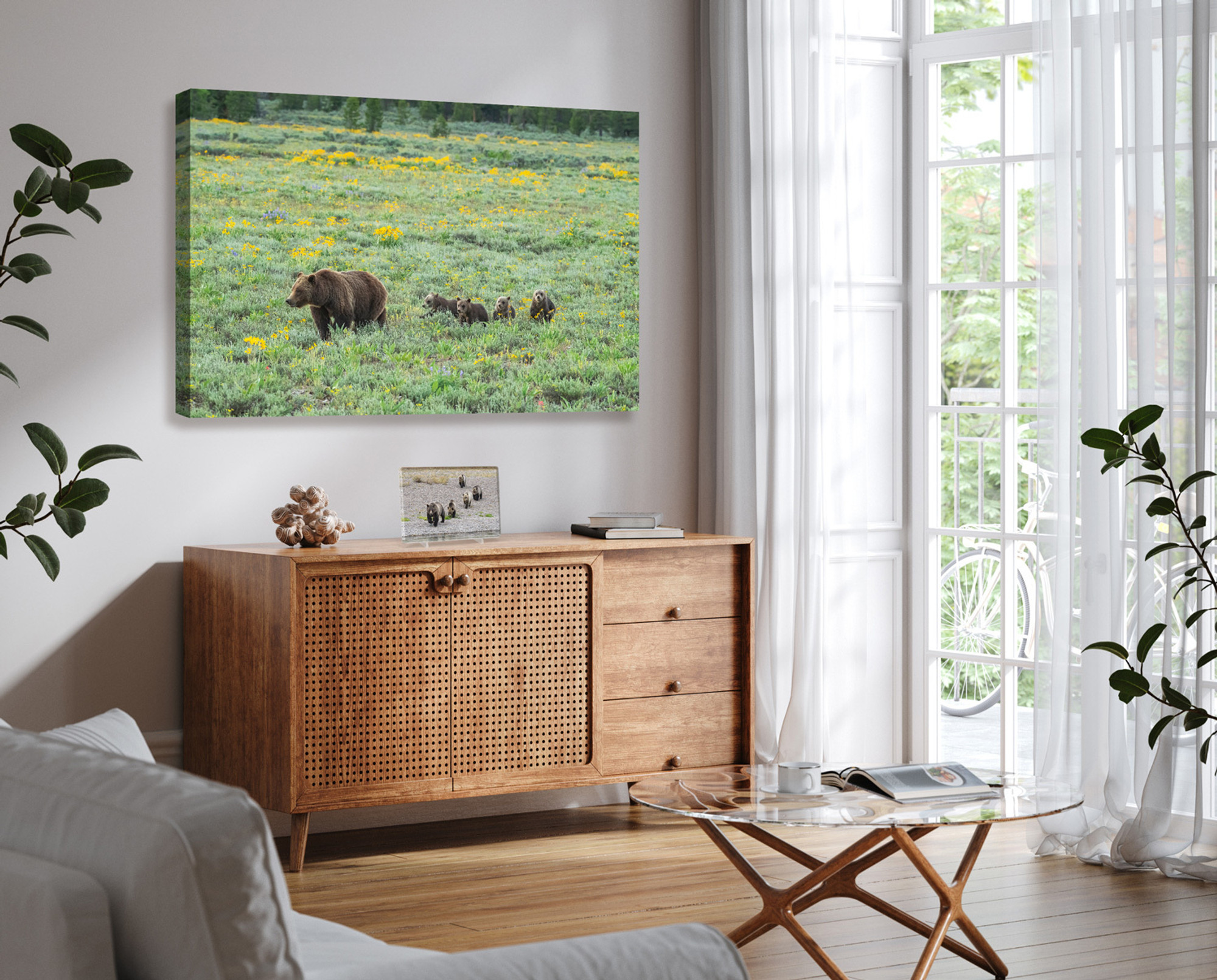 Wall art for sale of 399 and cubs in a minimalist style living room