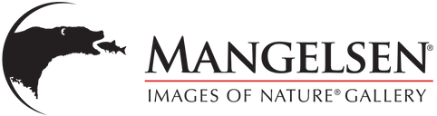 Thomas D Mangelsen Inc - Store 1