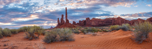 Explore the Arizona Collection of Fine Art Prints & Canvases by