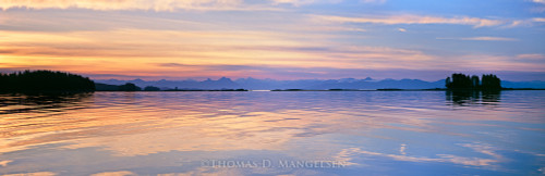 Panoramic Wildlife Art – Wide‑Scale Nature by Thomas D. Mangelsen