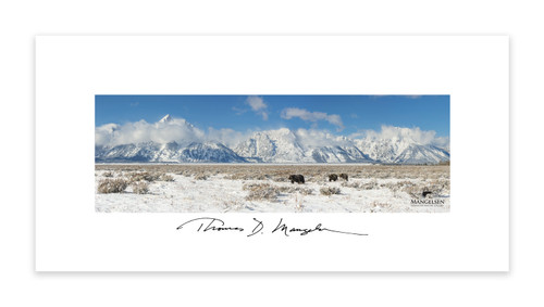 Wyoming, Grizzly 399 wall art, by Thomas D. Mangelsen
