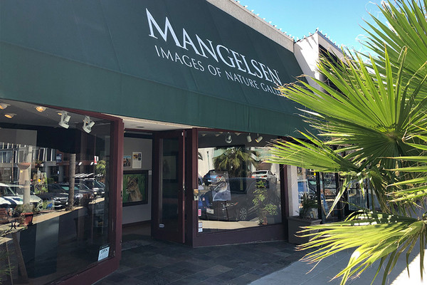 Mangelsen Image of Nature Gallery La Jolla, California