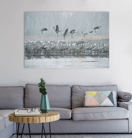Ancient Journey - Sandhill Cranes of the Platte River