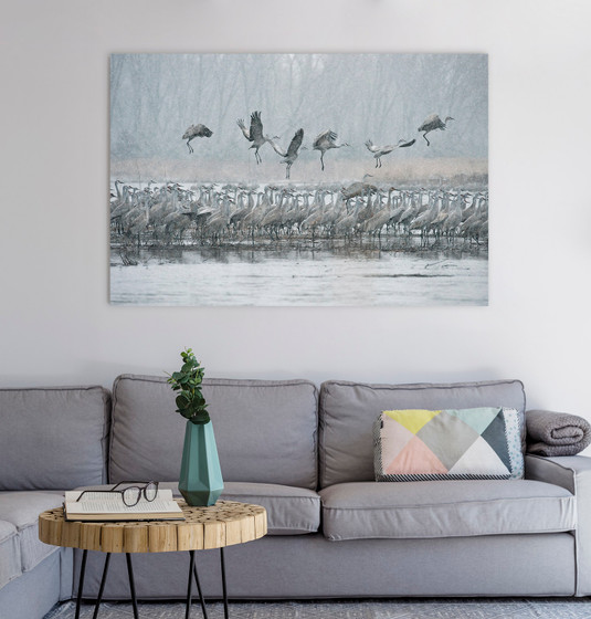 Ancient Journey - Sandhill Cranes of the Platte River