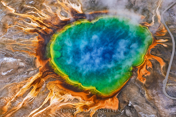 Seasons of Yellowstone: A Photographer’s Tribute to a Timeless Wilderness
