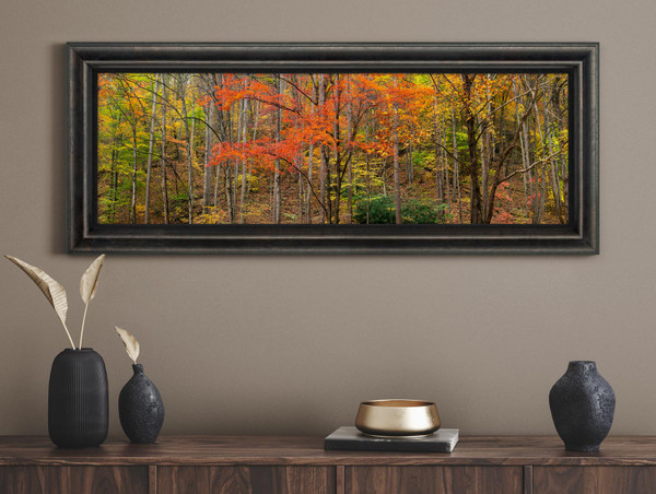 Shades of Autumn: A Symphony in Stillness