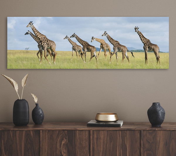 Advocacy on the Horizon: The Story Behind Journey of Giraffes