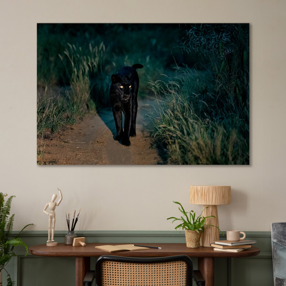 Beautiful Darkness: Black Leopard Portrait by Thomas D. Mangelsen