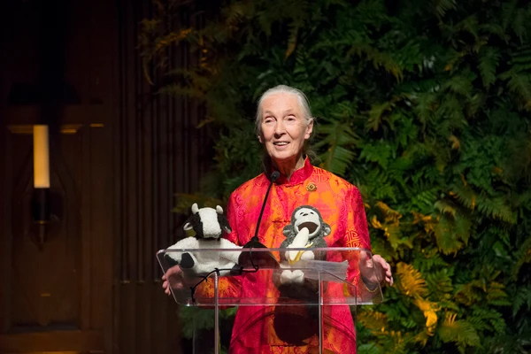 On Her Birthday, Six Lessons I Learned from Jane Goodall