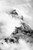 Teewinot: Many Pinnacles