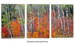 Maples Aglow