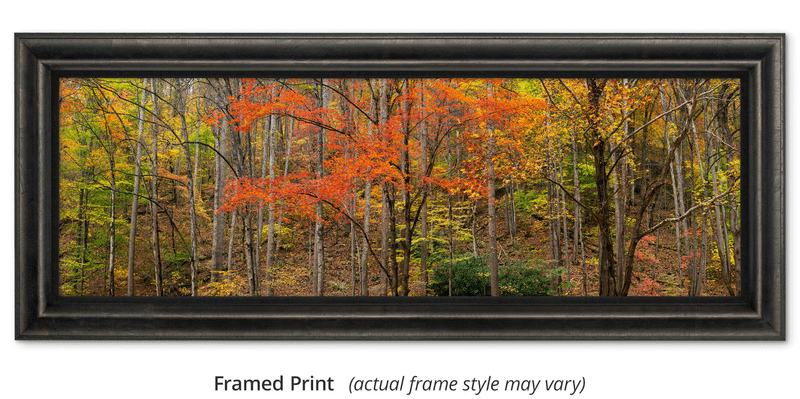 THE HALF FOLDMINITABLE大島園 × NATURE TONES NATURE TONES：キャンプ用品ブランド「NATURE TONES（ネイチャー