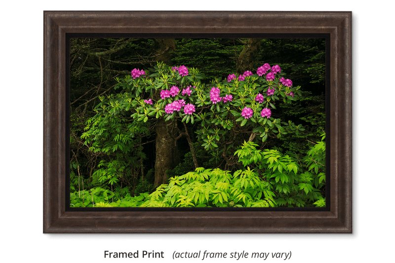 Fine art print display options