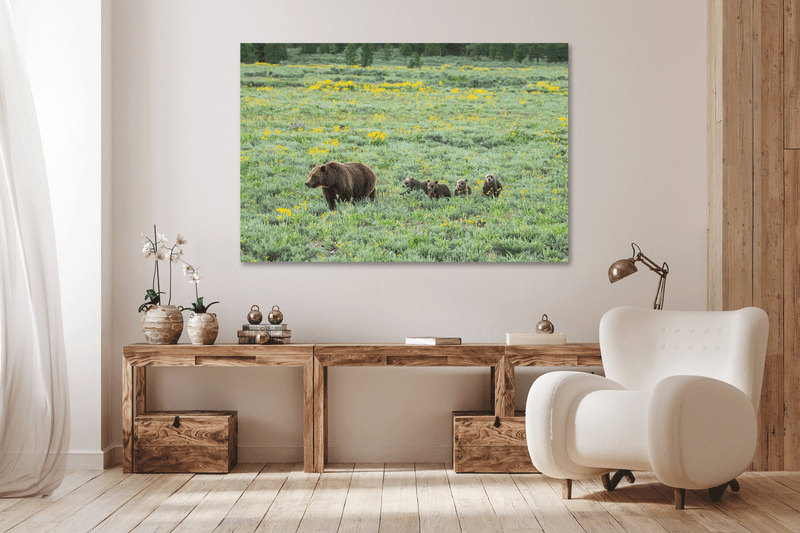 Thomas D. Mangelsen presents Open Edition Grizzly 399 prints