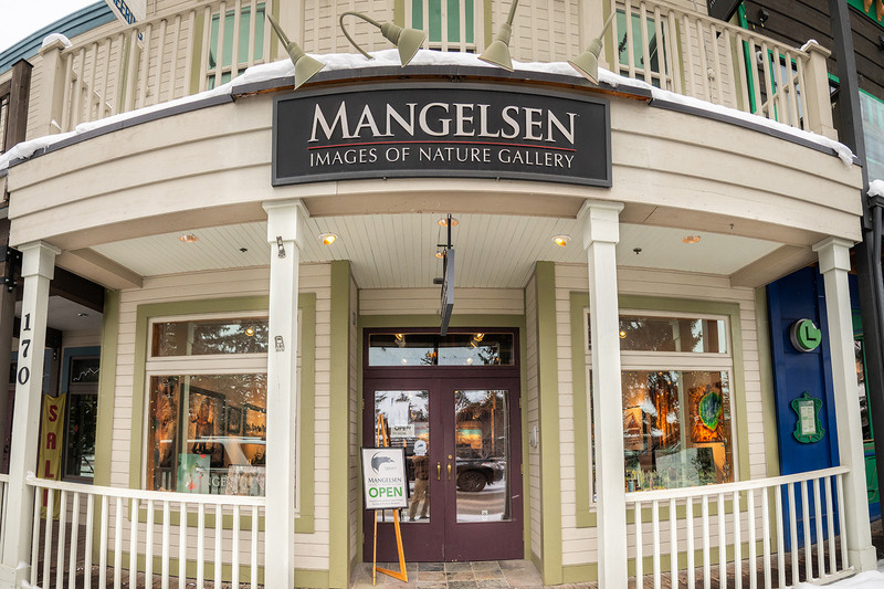 Mangelsen Images of Nature Galley in Jackson, WY