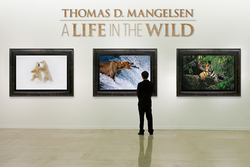 A Life in the Wild Traveling Exhibition