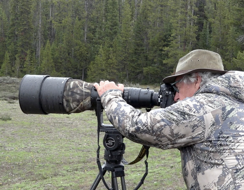 Mangelsen photographing Grizzly 399 and cubs