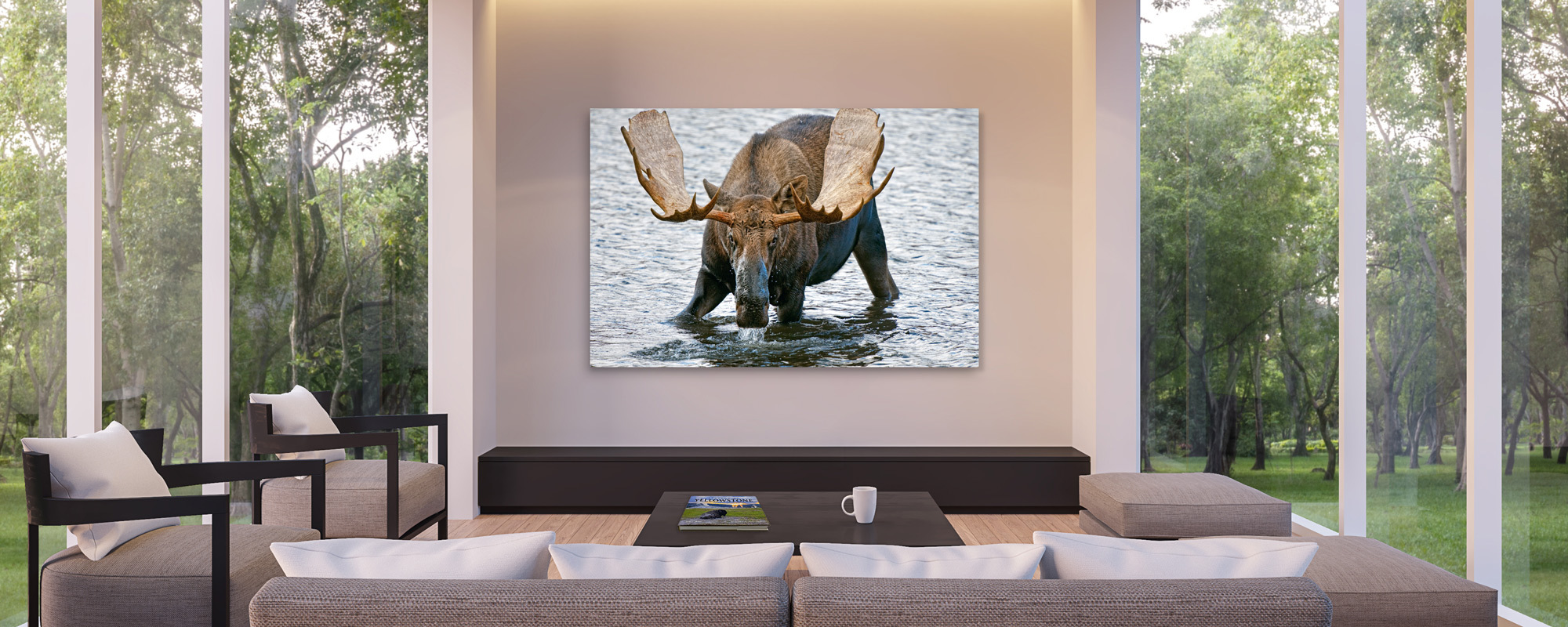 A bull moose stands stoutly in a pond