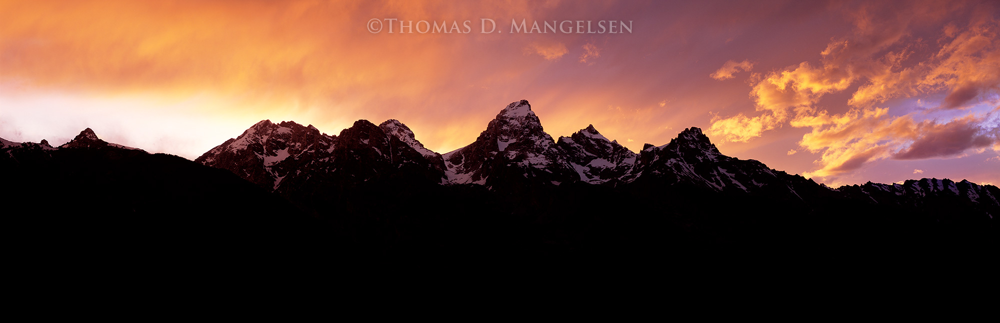 6119wm_2__31241.1713405763.jpg?c=1