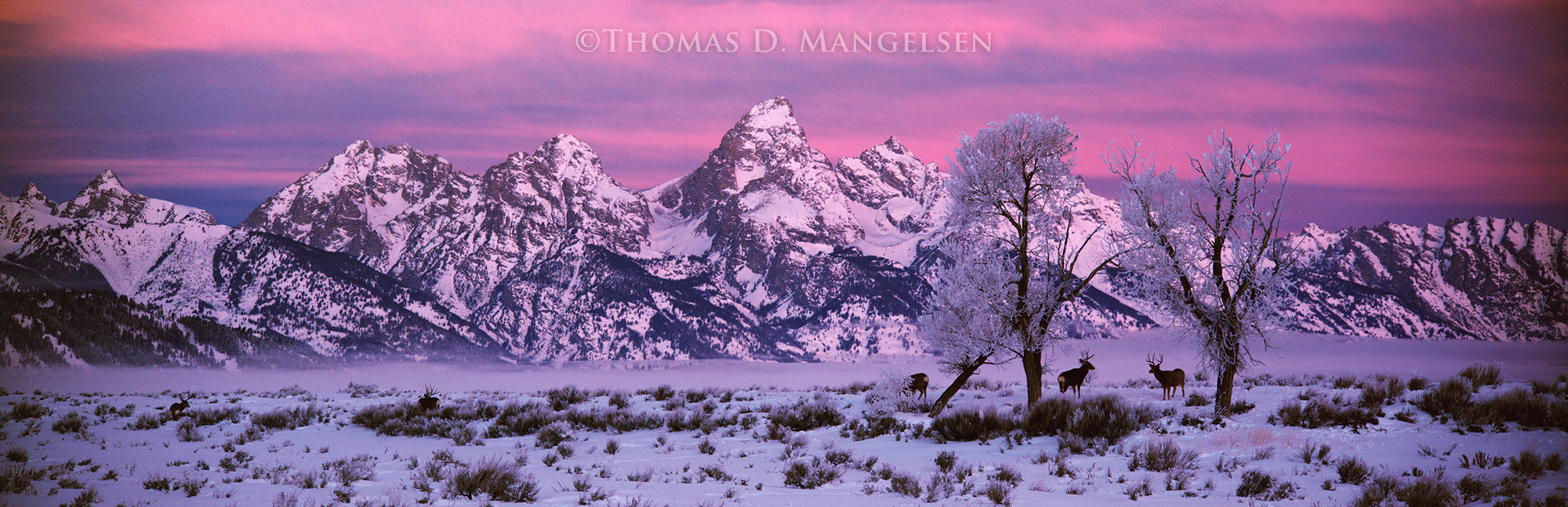 冬景色　Teton winter 冬景色 Teton winter The Winter Guide to Grand Teton National Park
