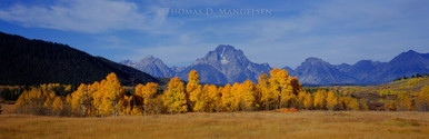 www.mangelsen.com
