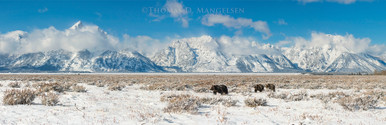 www.mangelsen.com