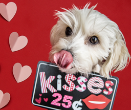 Spoil Your Valentine Checklist