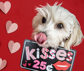 Spoil Your Valentine Checklist Spoil Your Valentine Checklist