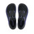 Altra Torin 8 GTX Women