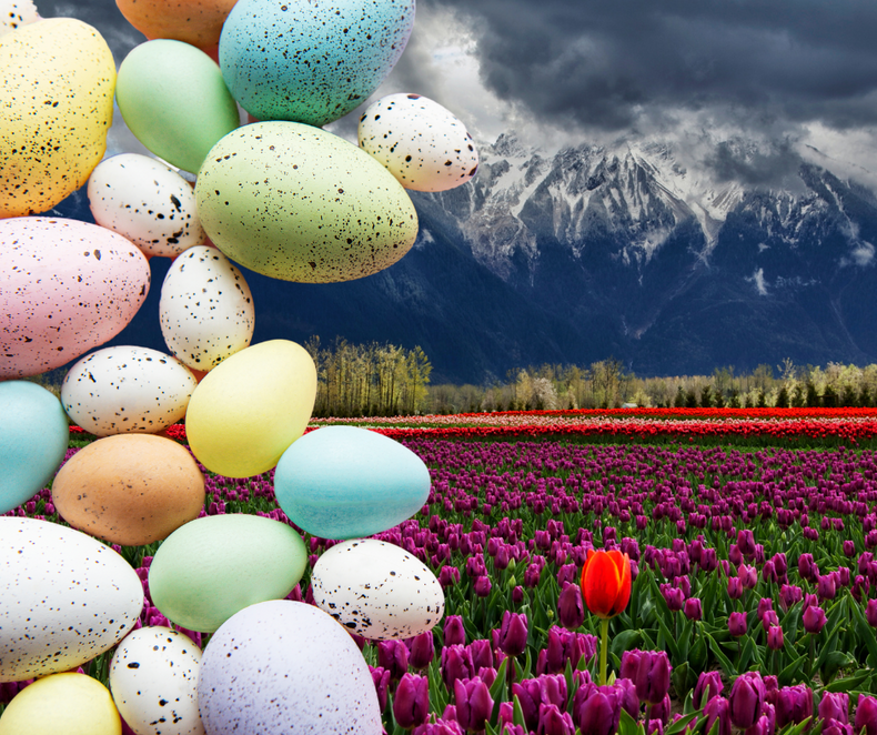 Celebrate Easter Weekend with These Exciting Activities in British Columbia