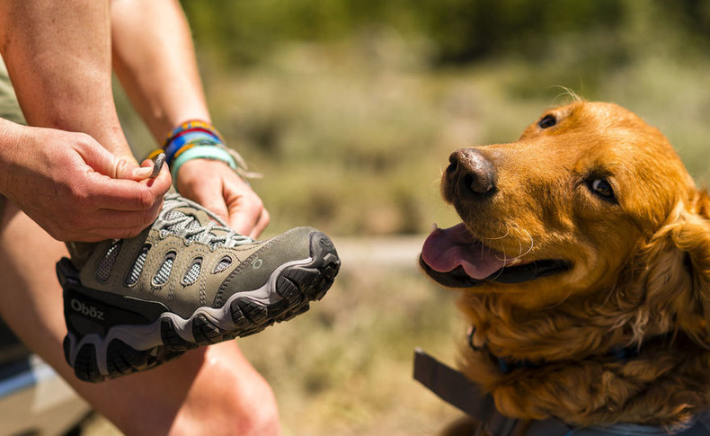 Features of a Good Walking Shoe