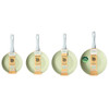 Earth 4-Piece Frying Pan & Stir Fry Pan Set - PFAS-Free Coating image