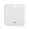 Digital Bathroom Scale – White image