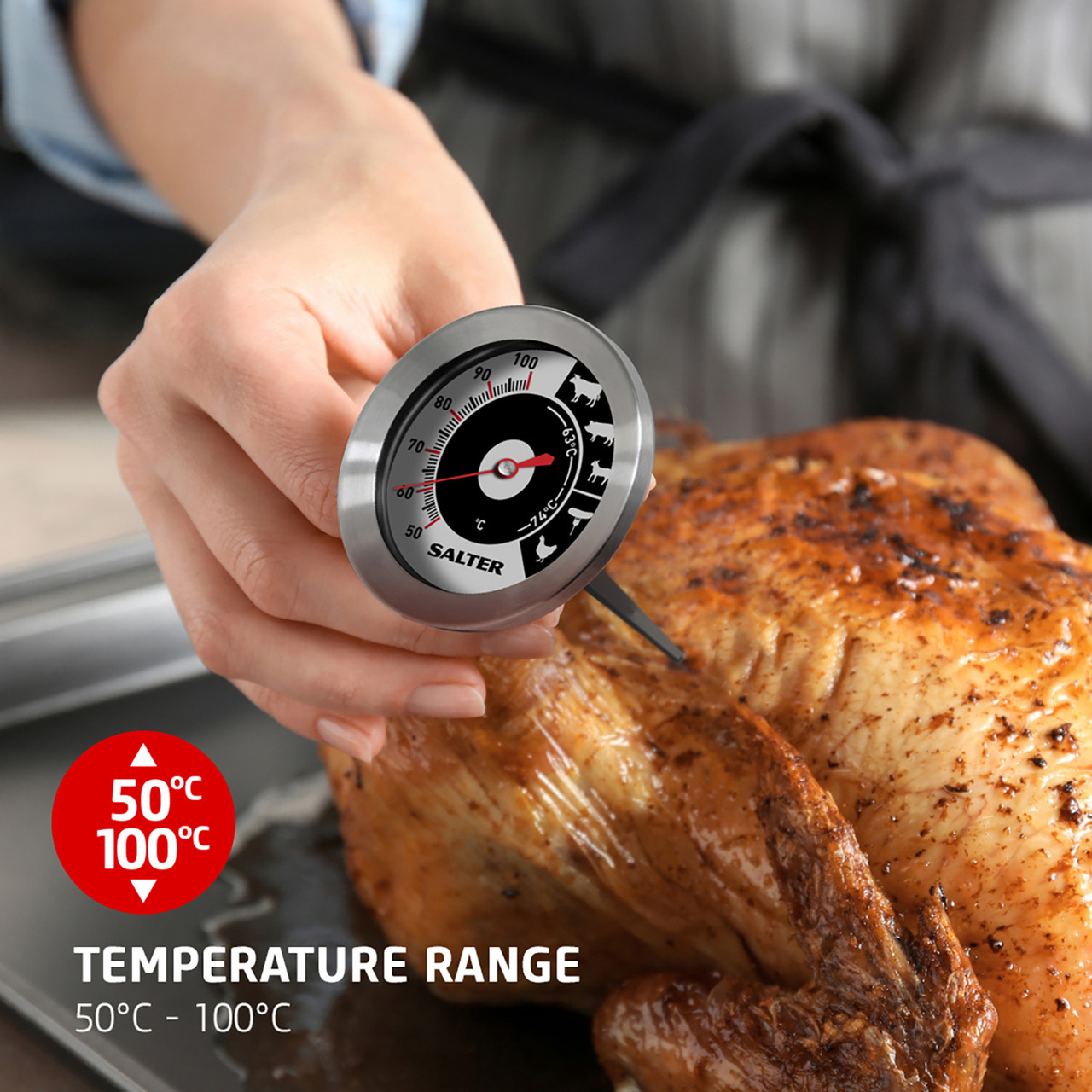 Bios DT165 Professional 3 Diameter Analog Meat Thermometer