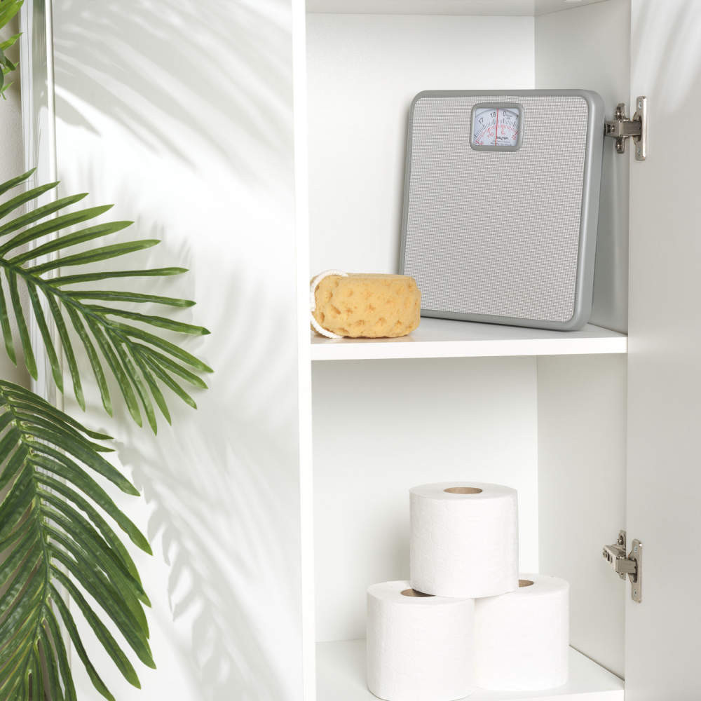 Mechanical Bathroom Scale, 120kg Capacity, Silver Salter