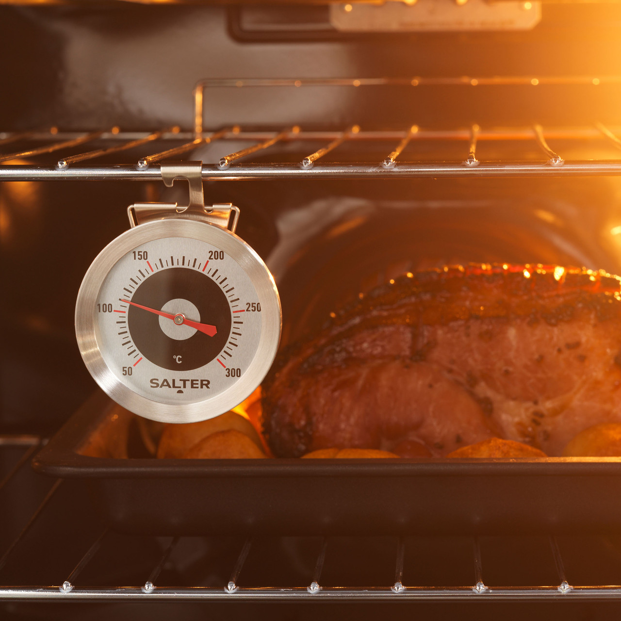 Salter Traditional Oven Temperature Thermometer