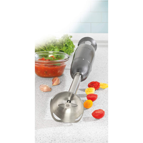Gunmetal hand blender with detachable stainless steel shaft, shown separated.
