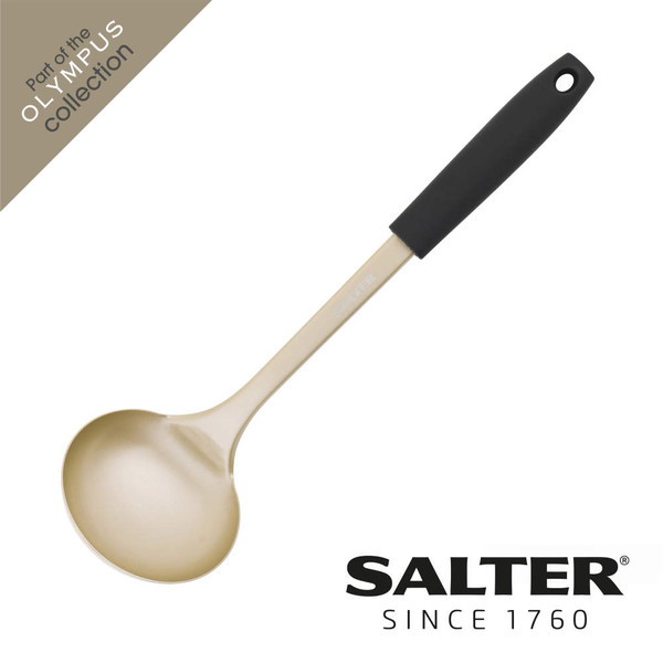 Olympus Ladle - Stainless Steel - No - BW11131EU7 - Salter - 5054061430912