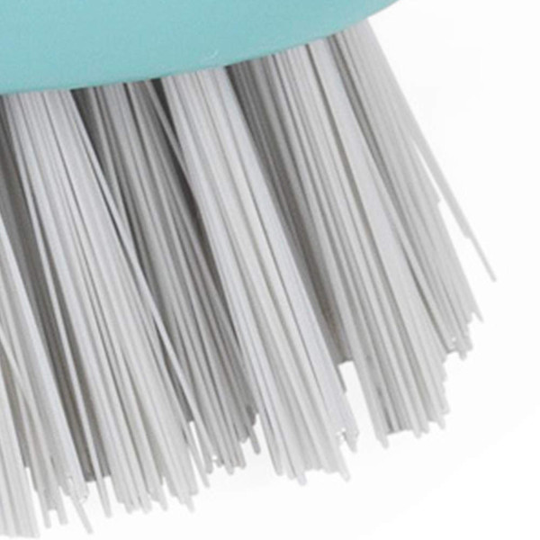 Close-up of grey bristle brush with teal handle, showing bristle detail