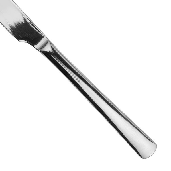 Stainless steel dinner knife, angled close-up on white background