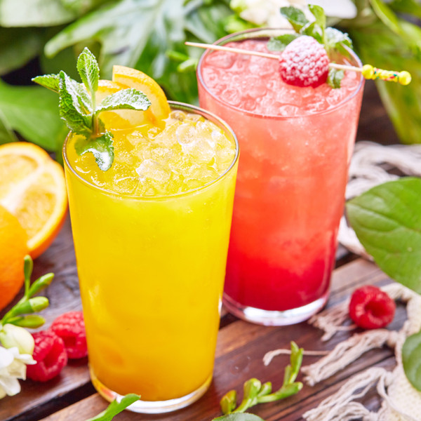 Cocktail Blender Set