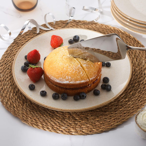 Silver cake server in Salter Dalton branded box, front view, showing 50 year guarantee badge.