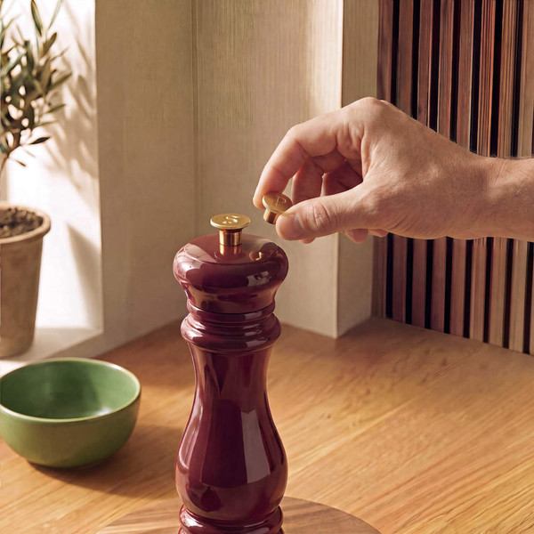 Set of two dark red wooden salt and pepper mills on kitchen counter